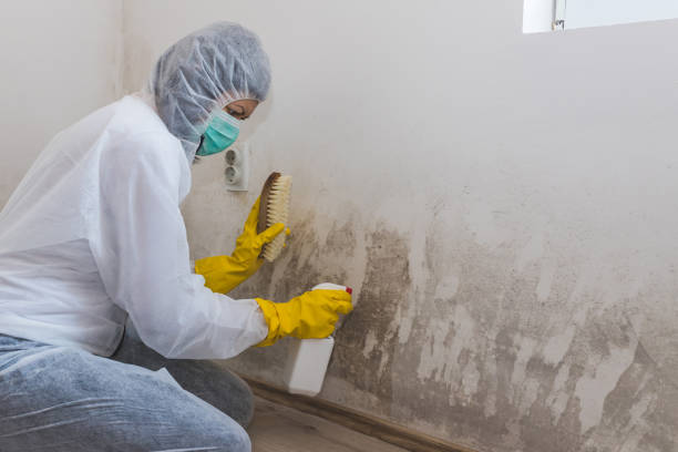 Best Mold Testing and Inspection Services in Secy, AR