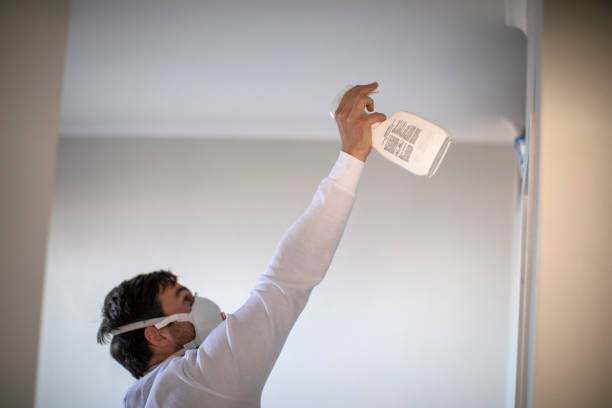 Best White Mold Remediation in Secy, AR