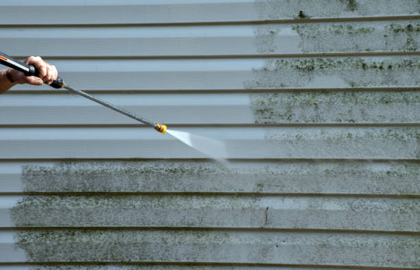Best Residential Mold Remediation in Secy, AR