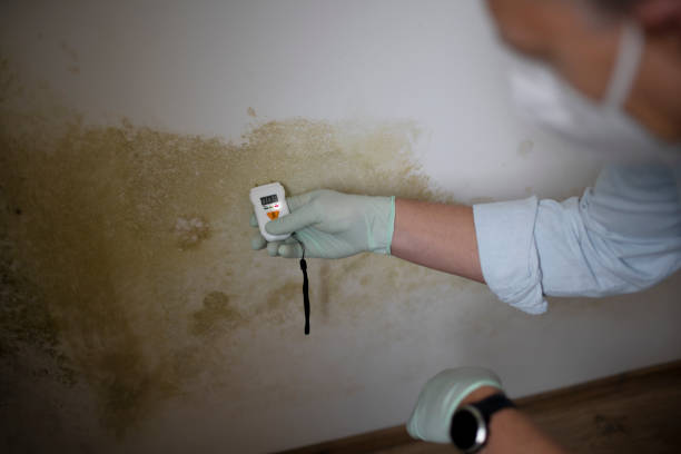 Best Bathroom Mold Remediation in Secy, AR