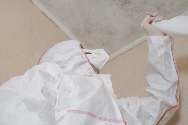 Best Mold Testing and Inspection Services in Secy, AR