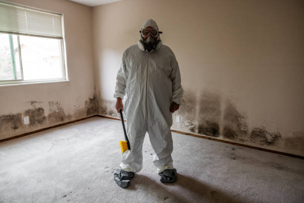 Best Post-Flood Mold Remediation in Secy, AR