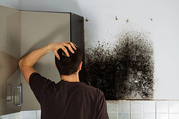 Best Kitchen Mold Remediation in Secy, AR